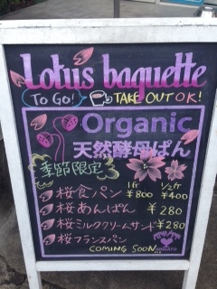 写真⑨看板サクラ.JPG