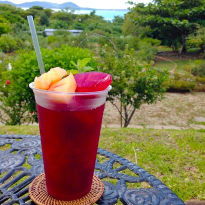 20141109⑥ハイビスカスティ.jpeg