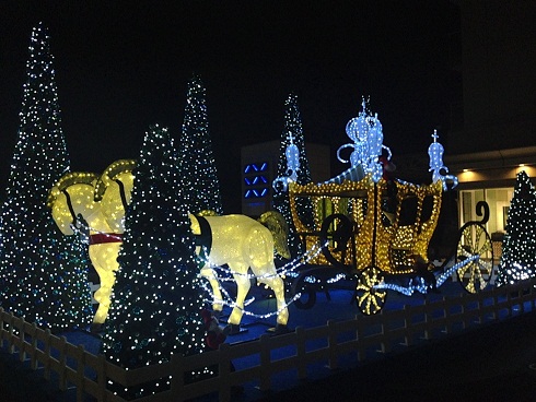 20141129-5.jpg