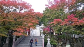 20151127写真②.jpg