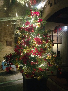 20151221-2.jpg